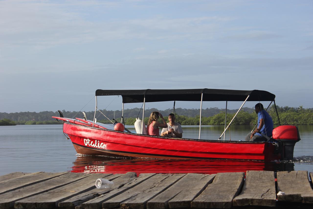 Red Frog Bungalows Surf Resort Bastimentos Ngoại thất bức ảnh