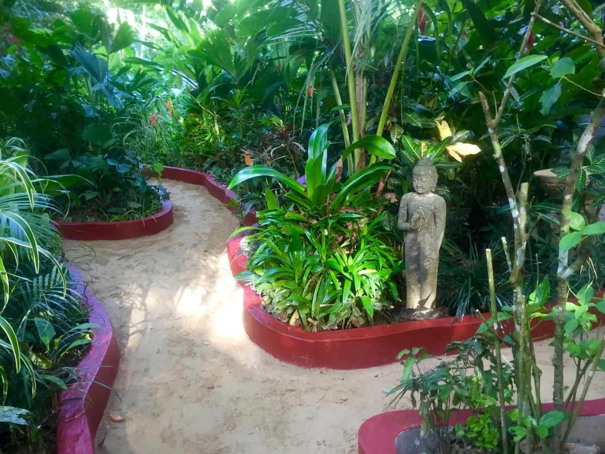 Red Frog Bungalows Surf Resort Bastimentos Ngoại thất bức ảnh